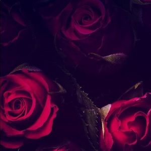 Meet your Posher, Alexandra